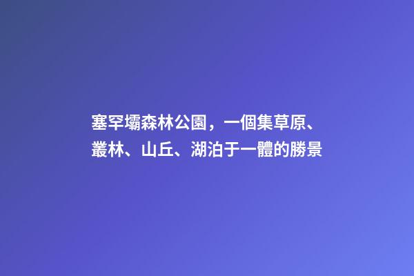 塞罕壩森林公園，一個集草原、叢林、山丘、湖泊于一體的勝景-第1張-觀點-玄機派