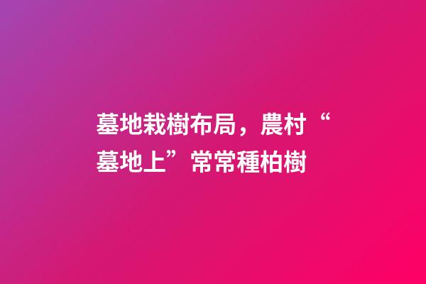 墓地栽樹布局，農村“墓地上”常常種柏樹