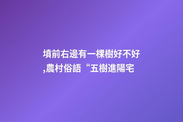 墳前右邊有一棵樹好不好,農村俗語“五樹進陽宅-第1張-觀點-玄機派