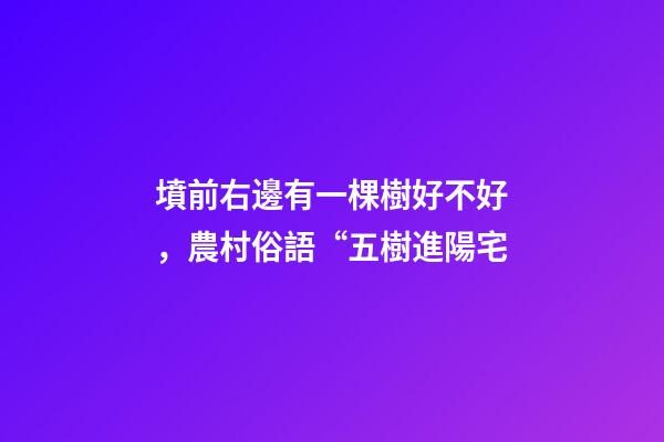 墳前右邊有一棵樹好不好，農村俗語“五樹進陽宅-第1張-觀點-玄機派