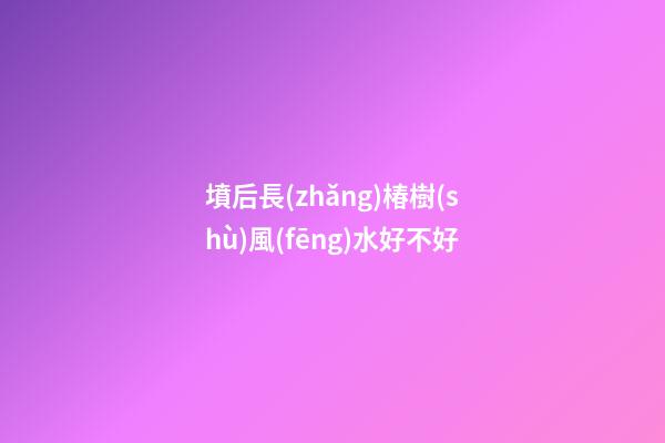 墳后長(zhǎng)椿樹(shù)風(fēng)水好不好