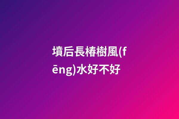 墳后長椿樹風(fēng)水好不好
