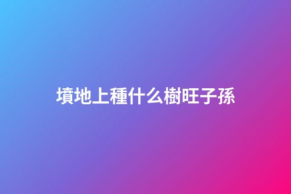 墳地上種什么樹旺子孫