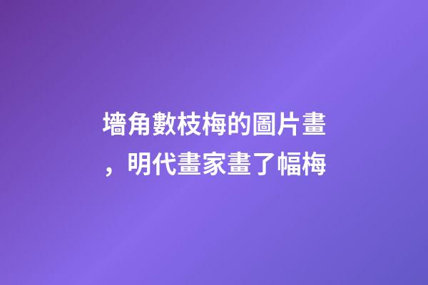 墻角數枝梅的圖片畫，明代畫家畫了幅梅-第1張-觀點-玄機派