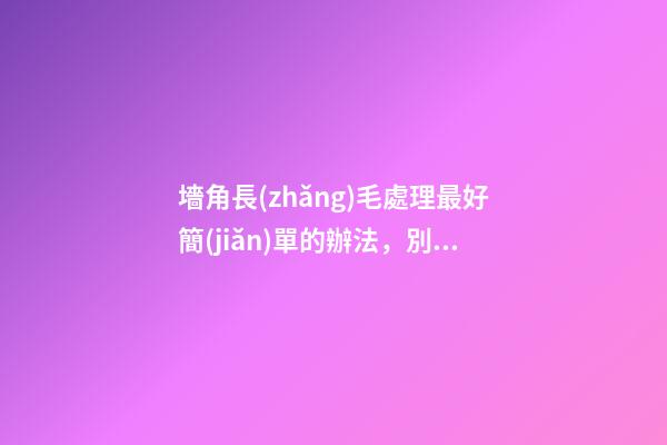 墻角長(zhǎng)毛處理最好簡(jiǎn)單的辦法，別聽(tīng)補(bǔ)漏“忽悠”花冤枉錢(qián)-第1張-觀點(diǎn)-玄機(jī)派