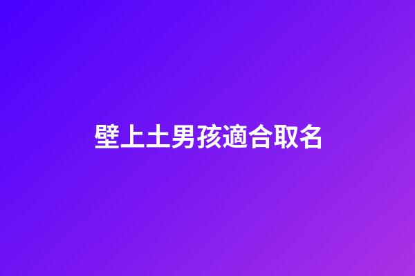 壁上土男孩適合取名(壁上土男孩小名)