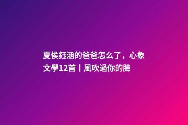 夏侯鈺涵的爸爸怎么了，心象文學12首丨風吹過你的臉(附點評)-第1張-觀點-玄機派
