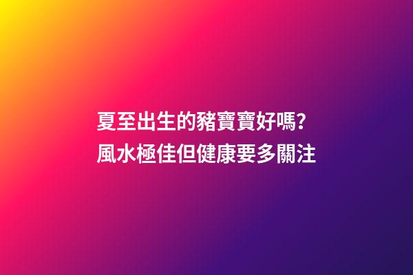 夏至出生的豬寶寶好嗎？風水極佳但健康要多關注