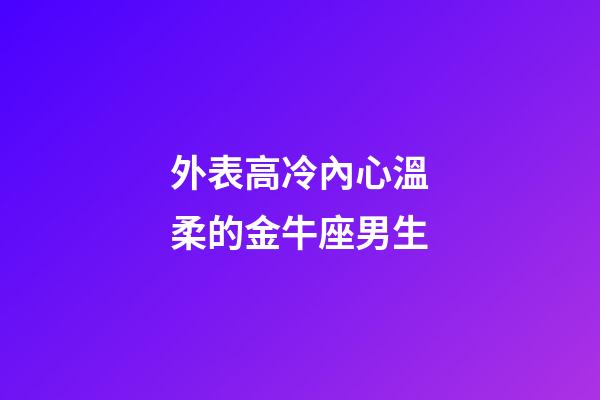 外表高冷內心溫柔的金牛座男生-第1張-星座運勢-玄機派