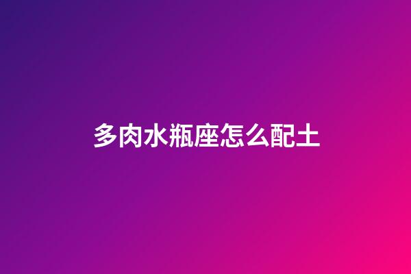 多肉水瓶座怎么配土-第1張-星座運(yùn)勢(shì)-玄機(jī)派