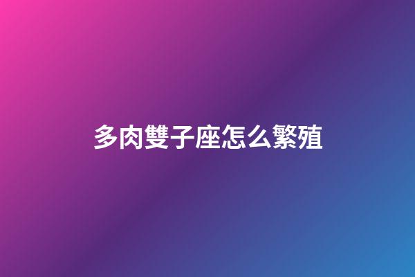 多肉雙子座怎么繁殖-第1張-星座運勢-玄機派