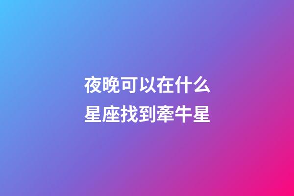 夜晚可以在什么星座找到牽牛星