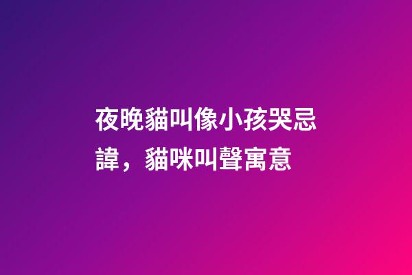 夜晚貓叫像小孩哭忌諱，貓咪叫聲寓意
