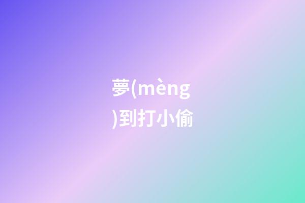 夢(mèng)到打小偷