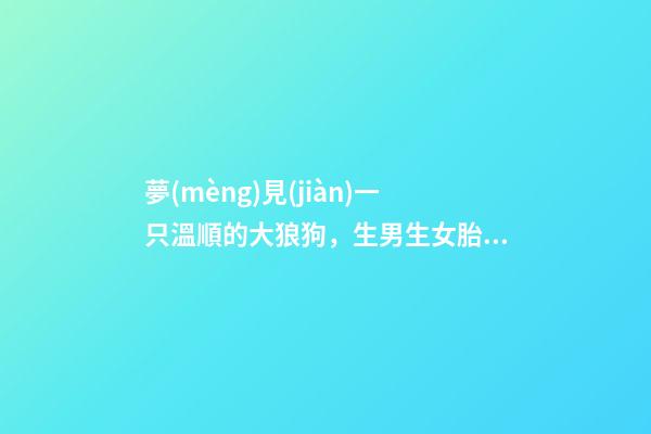 夢(mèng)見(jiàn)一只溫順的大狼狗，生男生女胎夢(mèng)大全!來(lái)看看其他媽媽們經(jīng)驗(yàn)談-第1張-觀點(diǎn)-玄機(jī)派