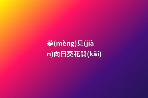 夢(mèng)見(jiàn)向日葵花開(kāi)