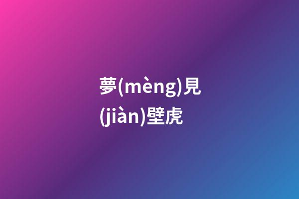夢(mèng)見(jiàn)壁虎