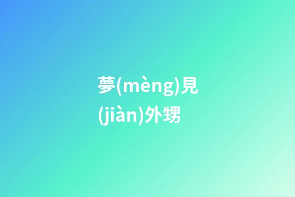 夢(mèng)見(jiàn)外甥