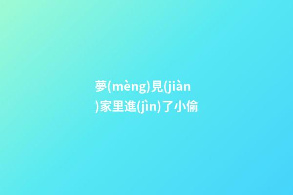 夢(mèng)見(jiàn)家里進(jìn)了小偷