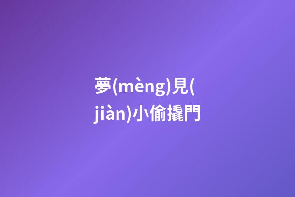 夢(mèng)見(jiàn)小偷撬門