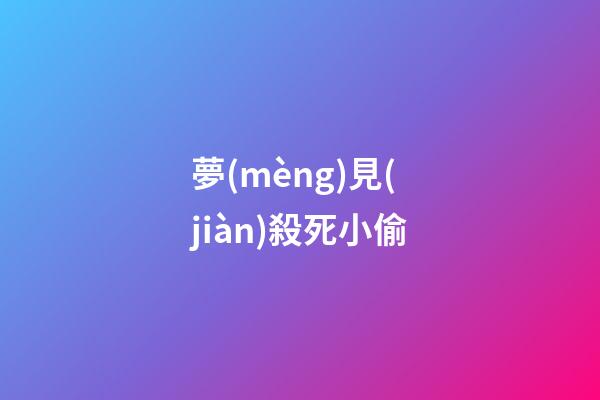 夢(mèng)見(jiàn)殺死小偷