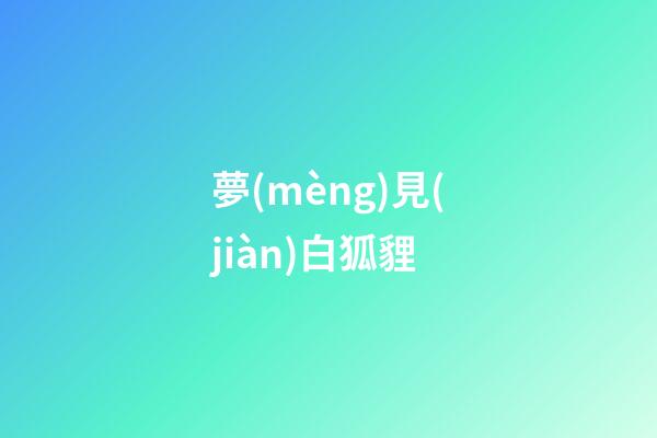 夢(mèng)見(jiàn)白狐貍