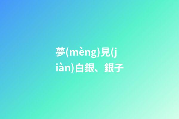 夢(mèng)見(jiàn)白銀、銀子