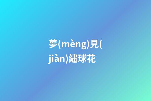 夢(mèng)見(jiàn)繡球花