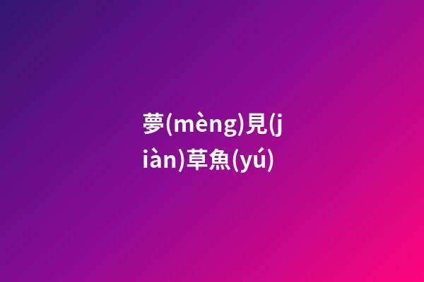 夢(mèng)見(jiàn)草魚(yú)