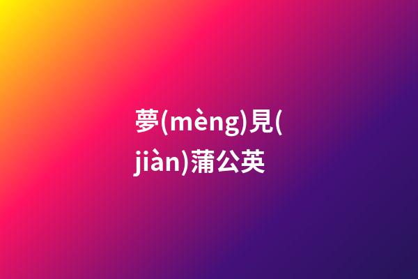 夢(mèng)見(jiàn)蒲公英