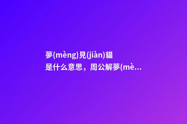 夢(mèng)見(jiàn)貓是什么意思，周公解夢(mèng)在線分析