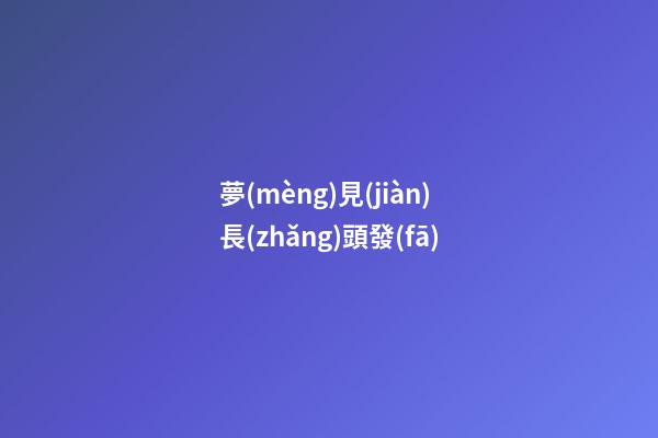 夢(mèng)見(jiàn)長(zhǎng)頭發(fā)