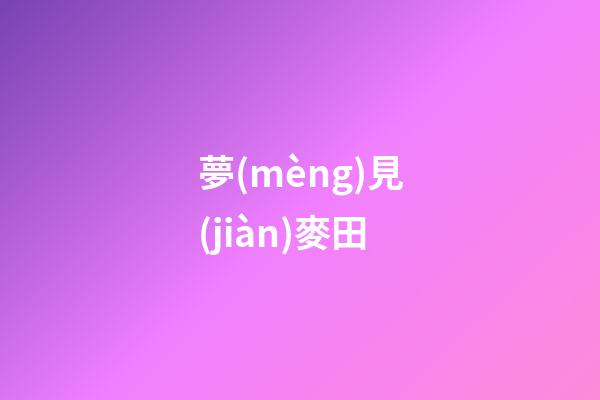 夢(mèng)見(jiàn)麥田