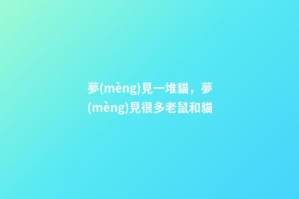 夢(mèng)見一堆貓，夢(mèng)見很多老鼠和貓-第1張-觀點(diǎn)-玄機(jī)派