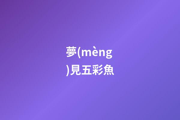 夢(mèng)見五彩魚