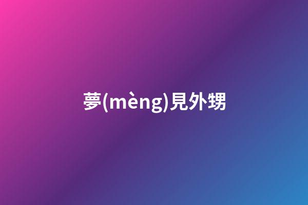 夢(mèng)見外甥