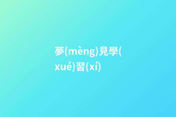 夢(mèng)見學(xué)習(xí)