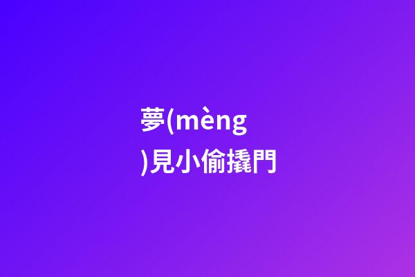 夢(mèng)見小偷撬門