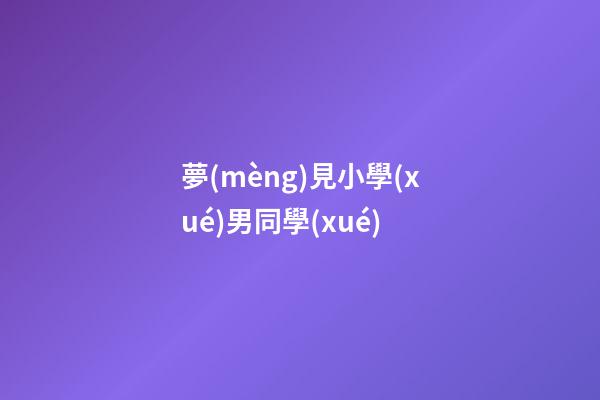 夢(mèng)見小學(xué)男同學(xué)