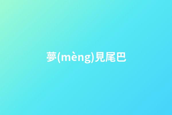 夢(mèng)見尾巴