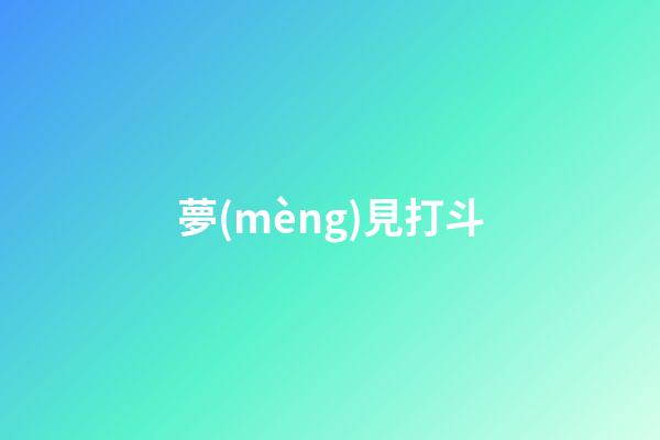 夢(mèng)見打斗
