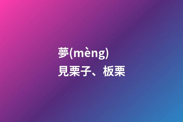 夢(mèng)見栗子、板栗