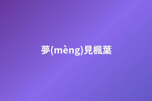 夢(mèng)見楓葉