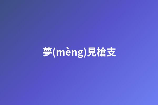 夢(mèng)見槍支