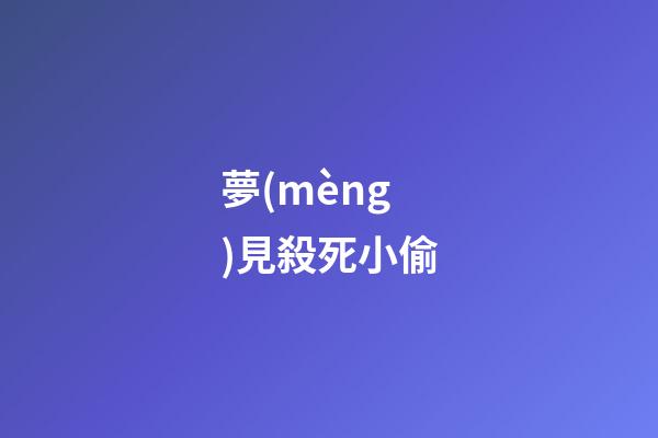 夢(mèng)見殺死小偷
