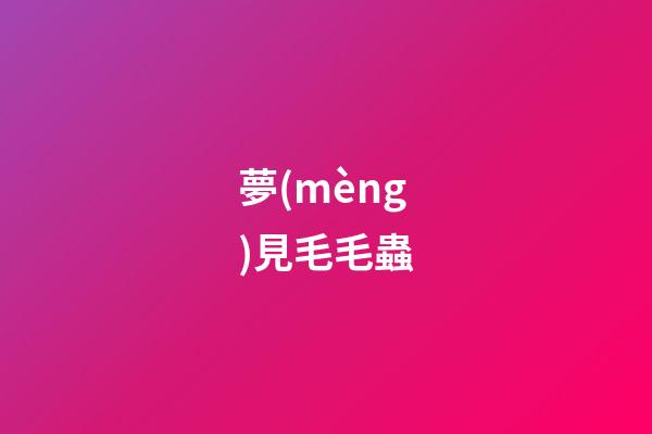 夢(mèng)見毛毛蟲