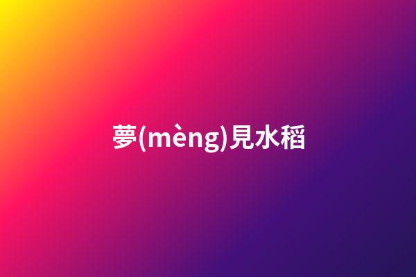 夢(mèng)見水稻