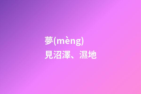 夢(mèng)見沼澤、濕地
