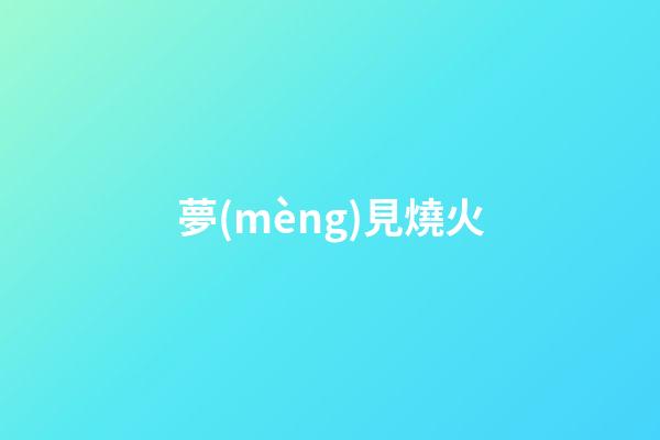 夢(mèng)見燒火