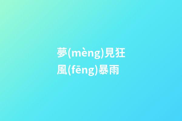 夢(mèng)見狂風(fēng)暴雨